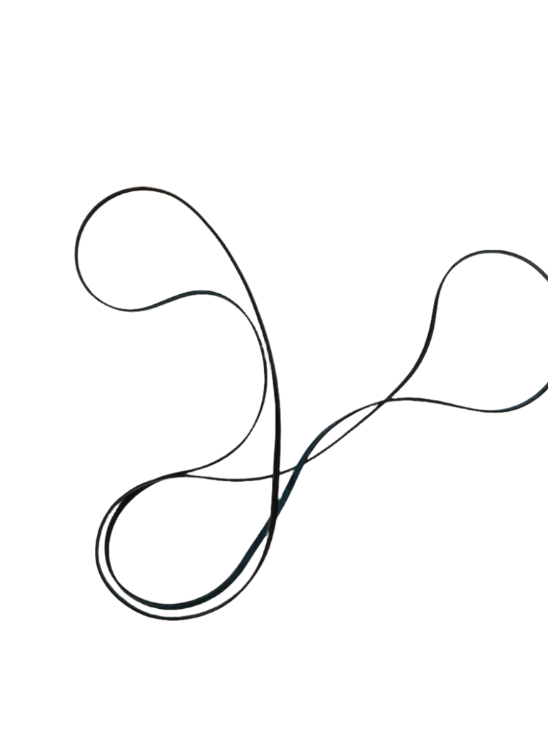 131553800 Dryer Drive Belt - Image 3