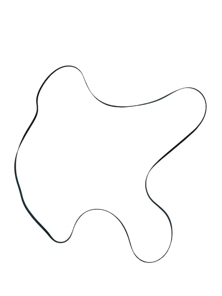 131553800 Dryer Drive Belt - Image 4