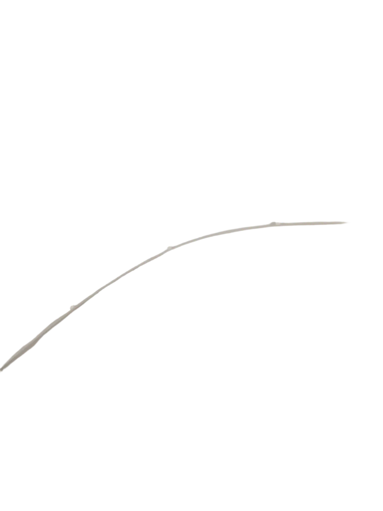137513300 Dryer Drum Glide - Image 3