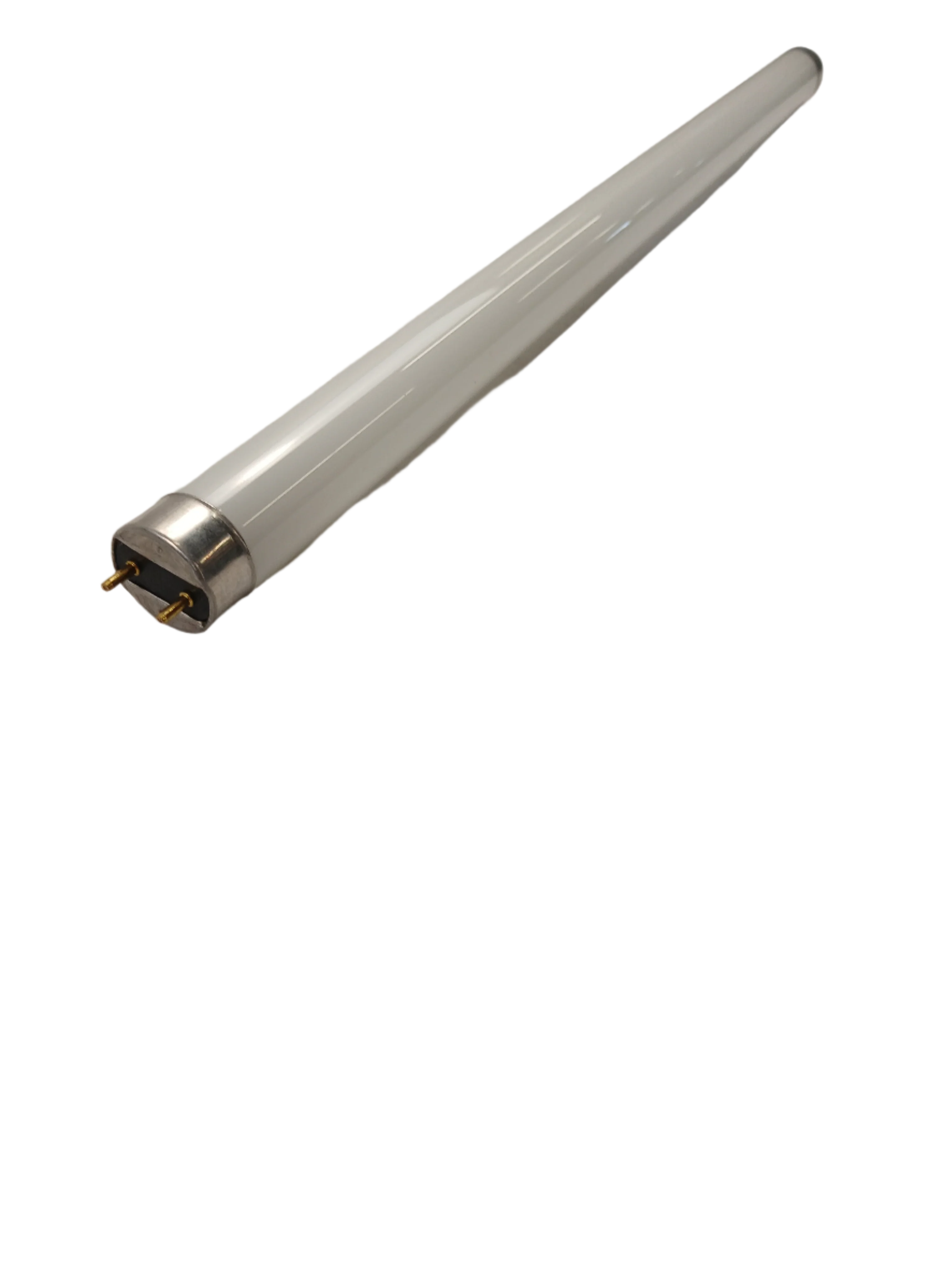 15W T8 Linear Fluorescent Lamp, 18", 4100K - Image 3
