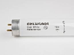 18W T8 Linear Fluorescent Lamp, 26", 4100K