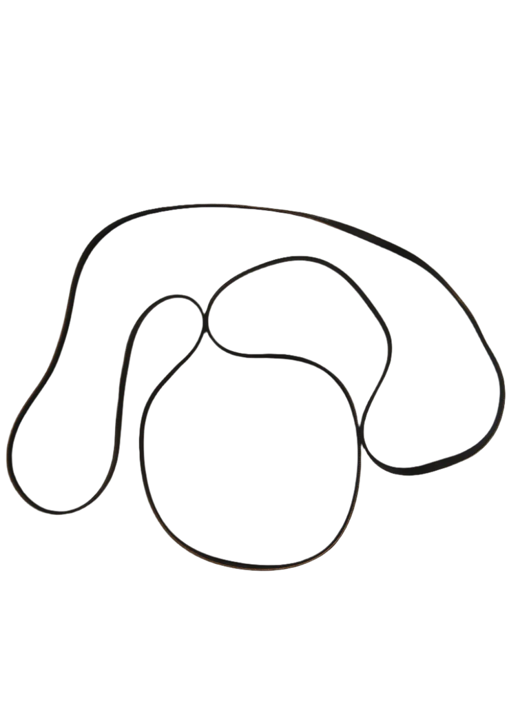 52556P Dryer Drum Belt - Image 3