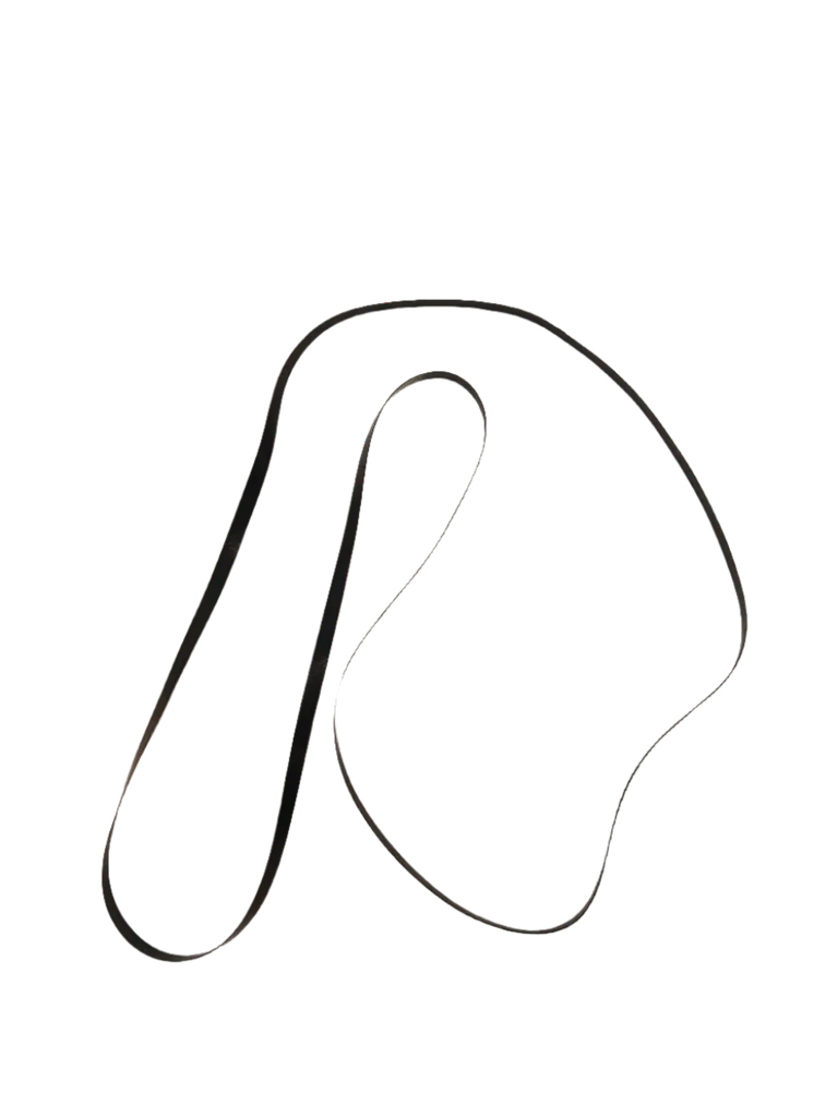 5303281154 Dryer Drive Belt - Image 3