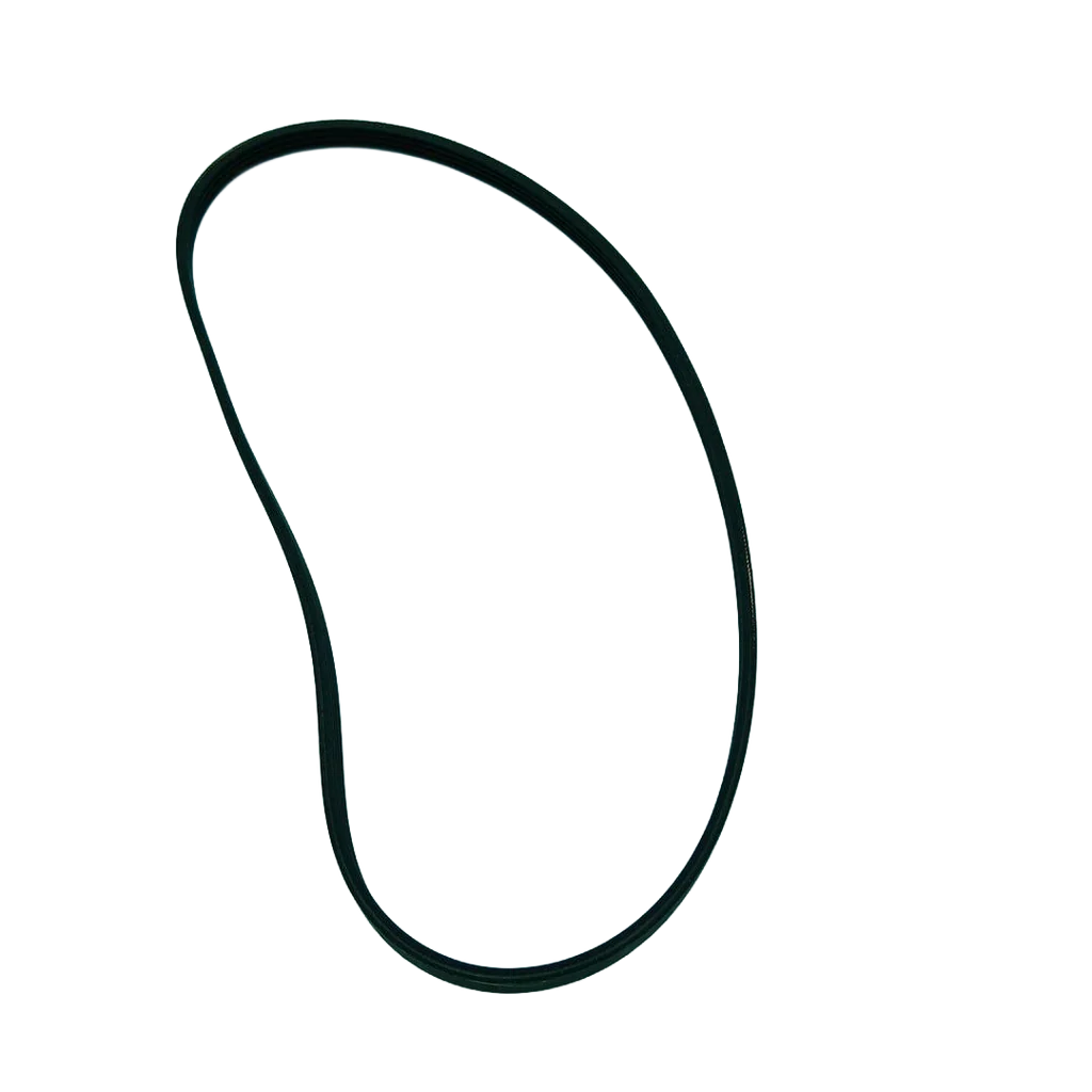 5304515831 Washer Drive Belt - Image 3