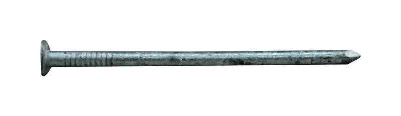 Pro-Fit 2-1/2 in. Box Hot-Dipped Galvanized Nail Flat Head 1 lb - Image 2