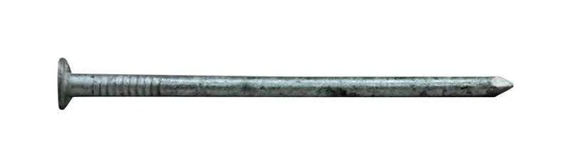 Pro-Fit 3 in. Box Hot-Dipped Galvanized Nail Flat Head 1 lb - Image 2