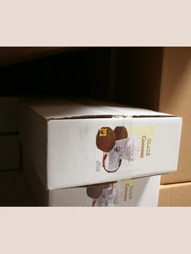 Coconut 4 in 1 Mix for Bubble Tea, Smoothies, Lattes and Frappes, 3 lbs. Bag (Case 6 x 3 lbs. Bags) - Ships Free Within Canada on Orders Above CAD $199 - Image 3