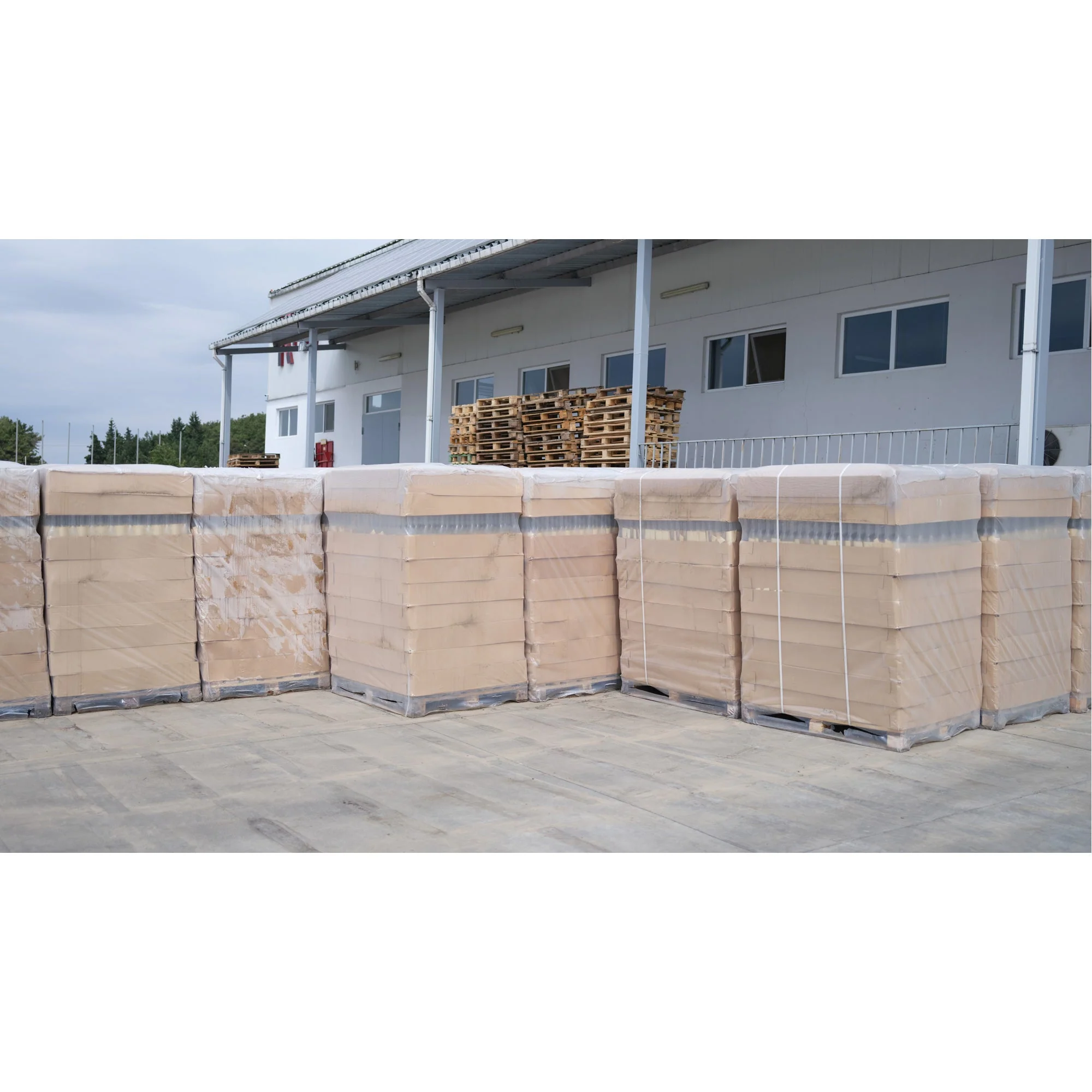 Gaylord Liners - Image 2