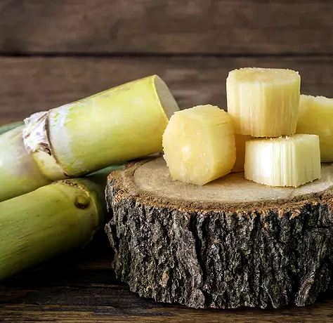 Golden Cane Sugar Syrup (4KG) | Simple Syrup | Sweetener | Bossen Canada | Ships Free Within Canada on Orders Above CAD $199 - Image 4