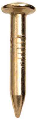 Hillman 1 in. L Bendless Brass-Plated Steel Nail Smooth Shank Oval (Pack of 12)