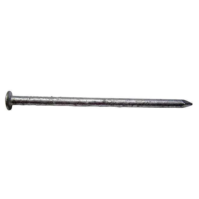2-1/4" Oval Head Siding Hot Galvanized, (50 LB)
