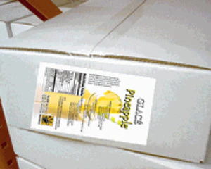 Pineapple 4 in 1 Mix for Bubble Tea, Smoothies, Lattes and Frappes, 3 lbs. Bag (Case 6 x 3 lbs. Bags) - Ships Free Within Canada on Orders Above CAD $199 - Image 2