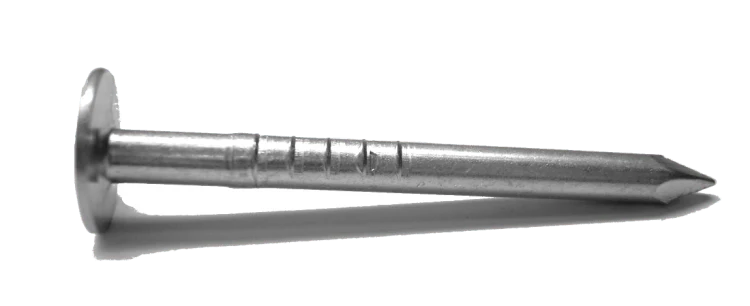 1-1/4" x 10ga Roofing Electro-Galv Nails (50 LB)