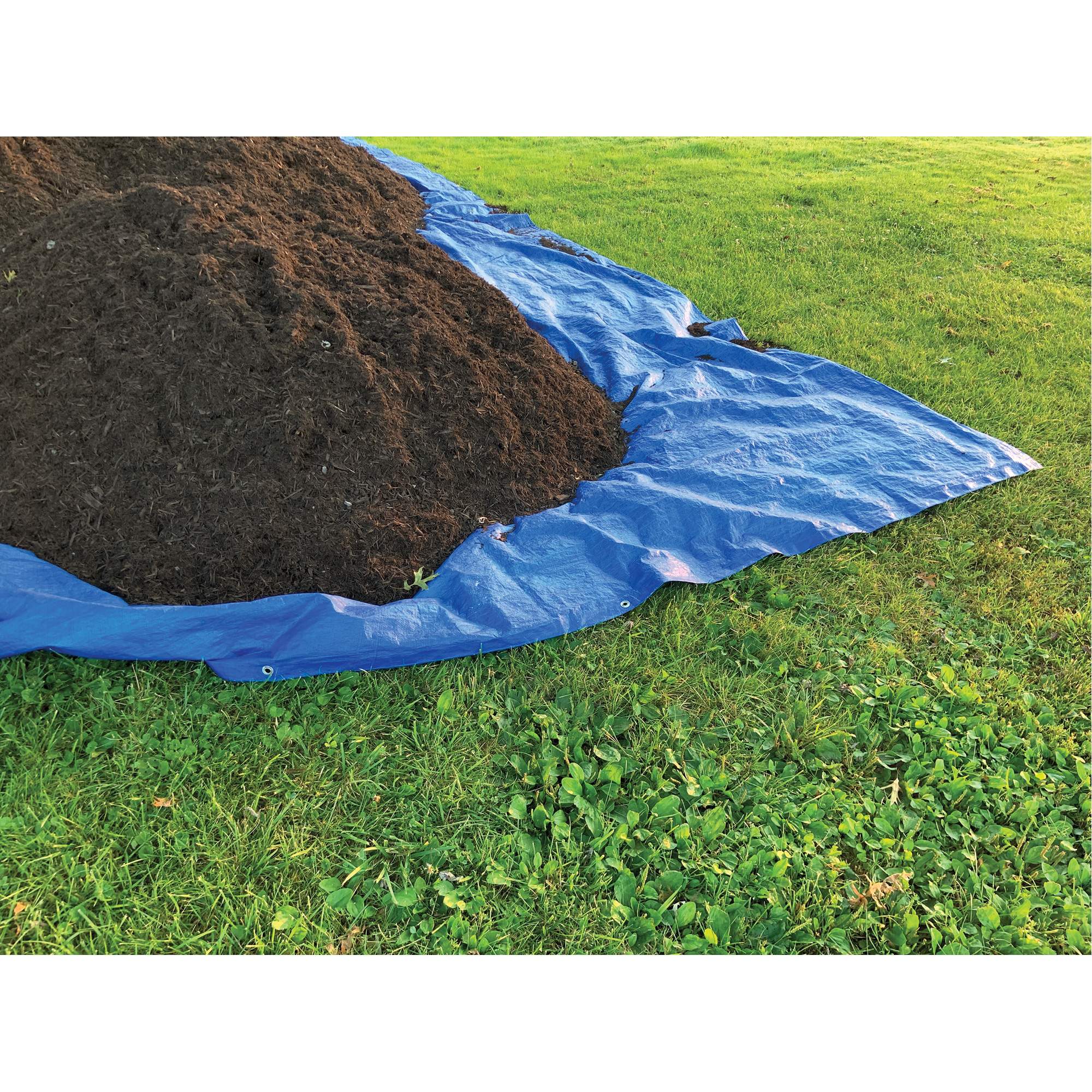 Tarp, Standard Duty, Blue, 16' x 10' x 4 mils - Image 4