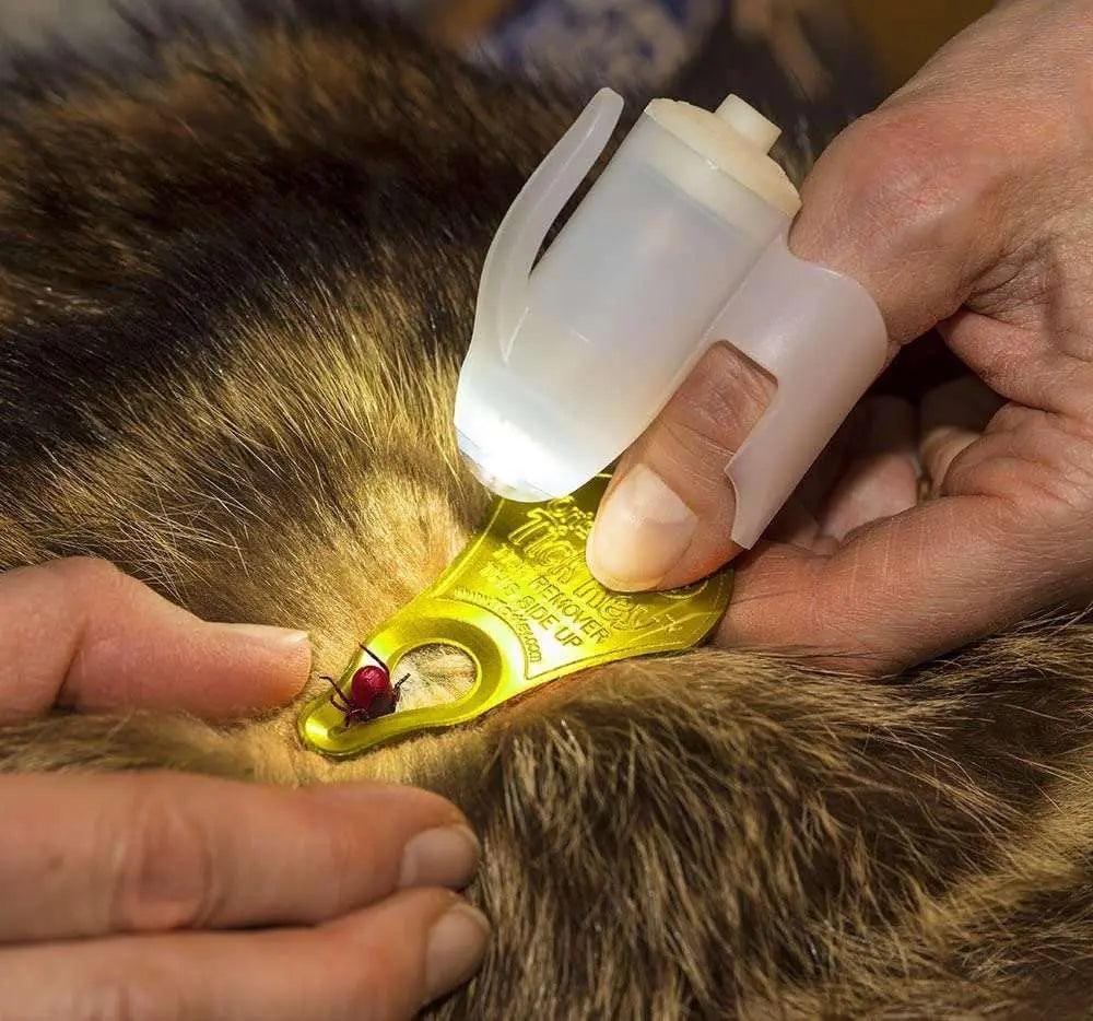 TickSee Tick Removal Kit - Image 2