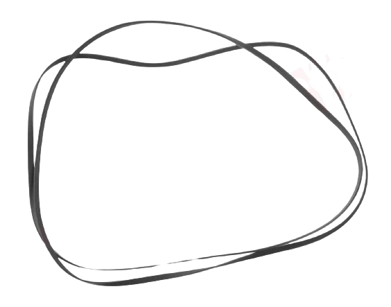 WPW10205415 Dryer Drive Belt (replaces W10205415, 5PH2337)