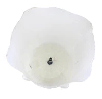 W10381078 Top Load Washer Outer Tub Assembly - Image 2