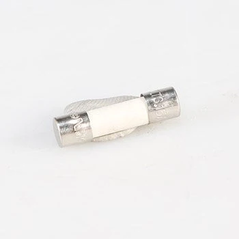 W10487251 Dishwasher Fuse