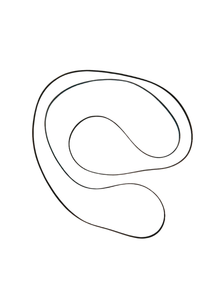 W11667280 Dryer Belt, 93.5 inches in length, 1/4 inch in width, and features 4 ribs and 3 grooves - Image 2