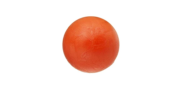 WD12X10408 Dishwasher Filter Ball