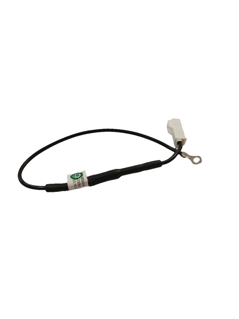 WG04A04405 Dryer Fuse