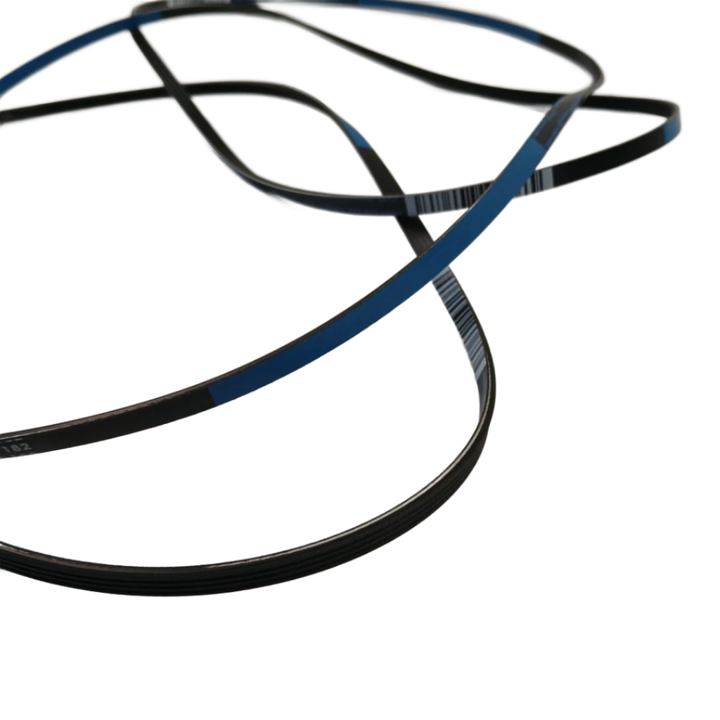 WG04F11796 Dryer Drive Belt (replaces WE03X29704, 308D1415P003, 4PH2467SH78T) - Image 2