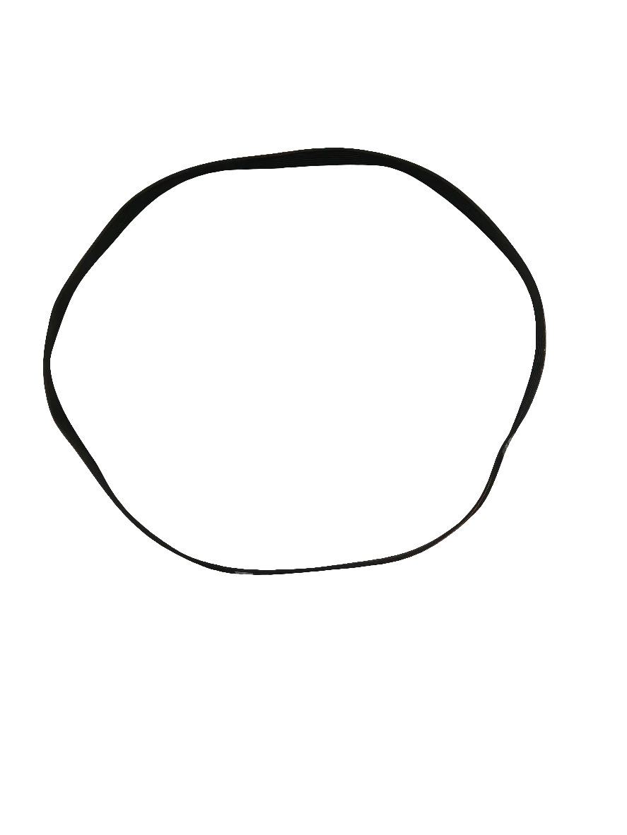 WG04F11944 Washer Drive belt (replaces 0020301646, WH03X29522) - Image 2