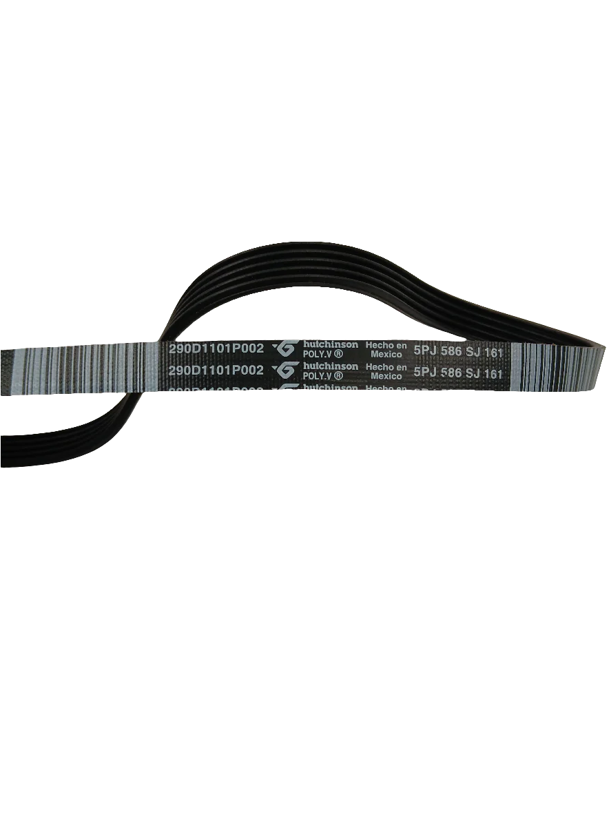 GE Washer Drive Belt WG04L05385 (Replaces WH01X24180, WW01F01756) - Image 2