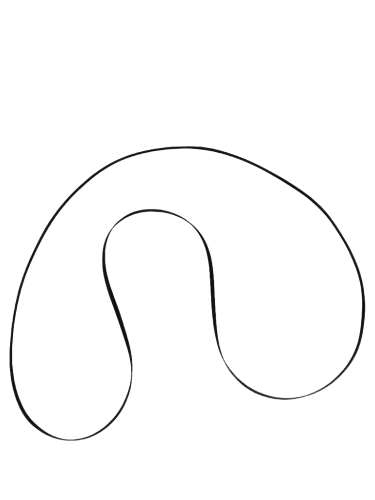 Whirlpool Dryer Drum Belt WPW10198086 (Replaces W10198086) - Image 7