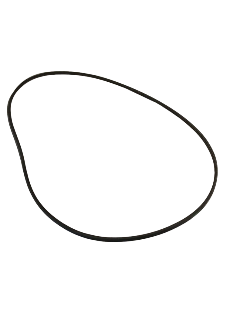 WP20056498 Washer Drive Belt - Image 3