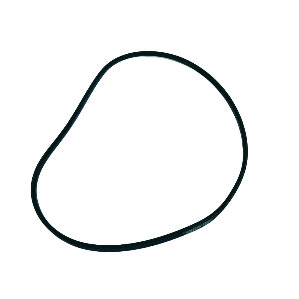 WP22003483 Washer Drive Belt - Image 3