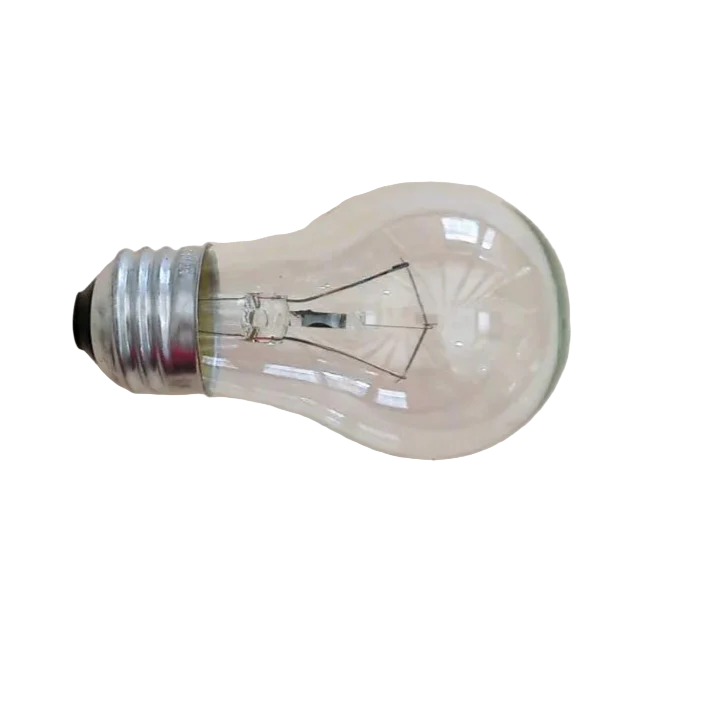 WS01F01495 Range Light Bulb