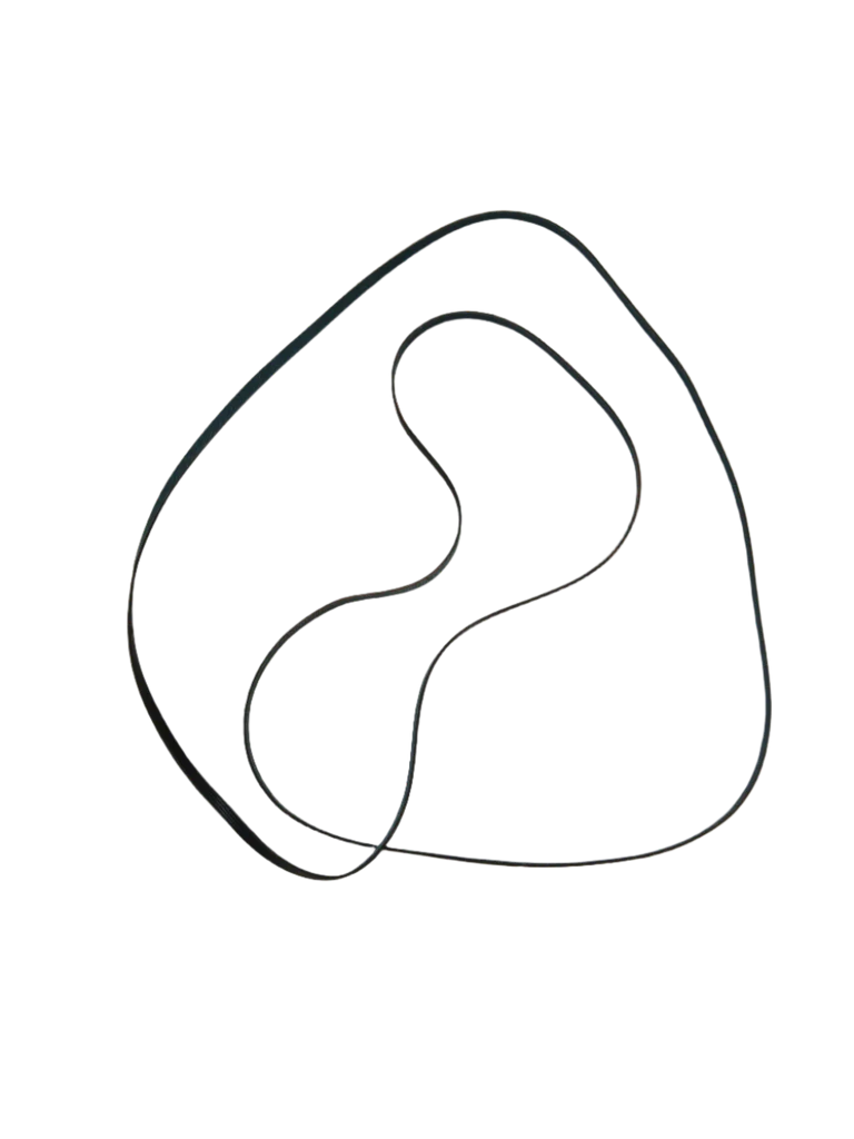 WW02F00072 Dryer Drive Belt 212D1487P001 - Image 2