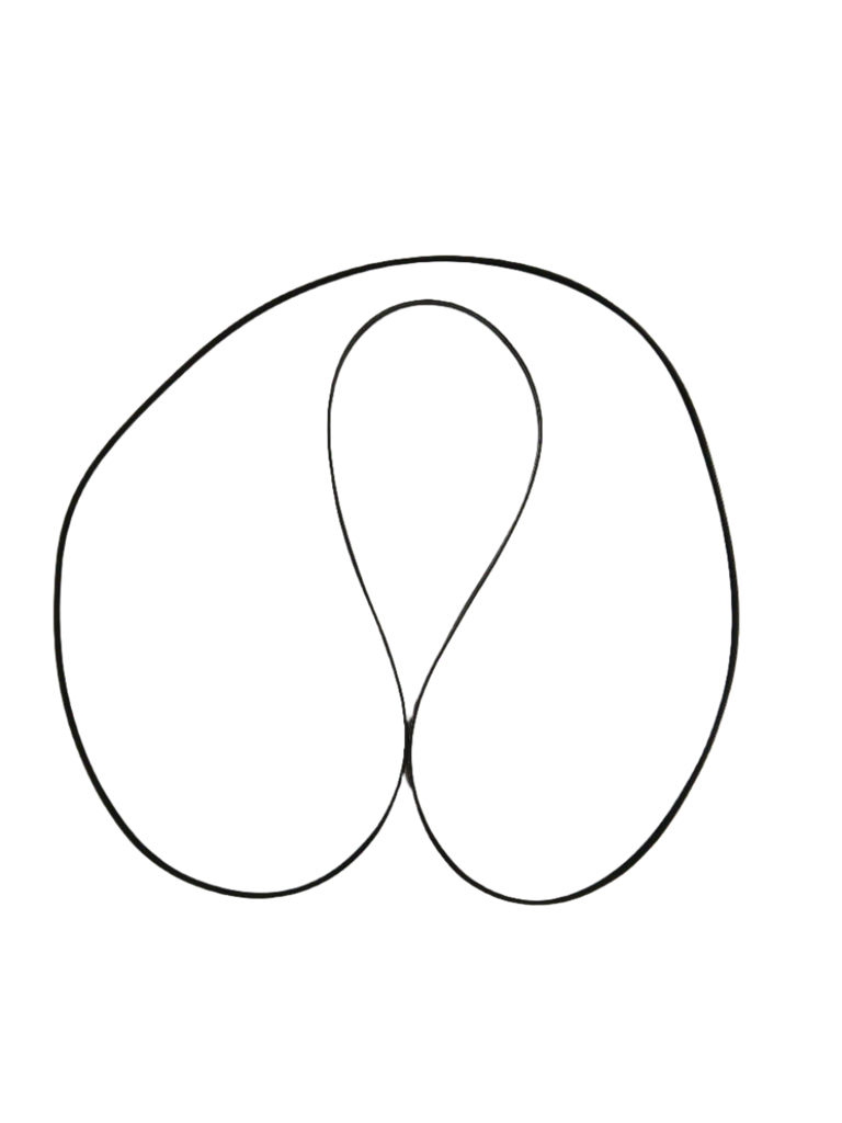 XP12M51 Dryer Drive Belt, Replaces WE12M51 - Image 2