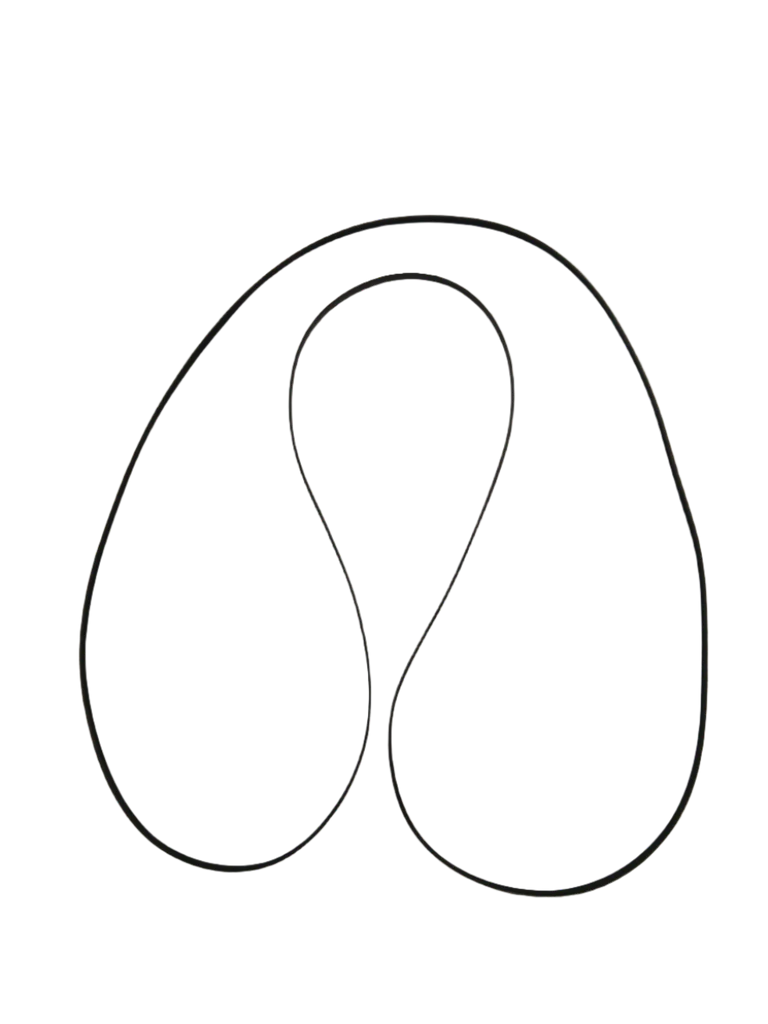 XP12M51 Dryer Drive Belt, Replaces WE12M51 - Image 4