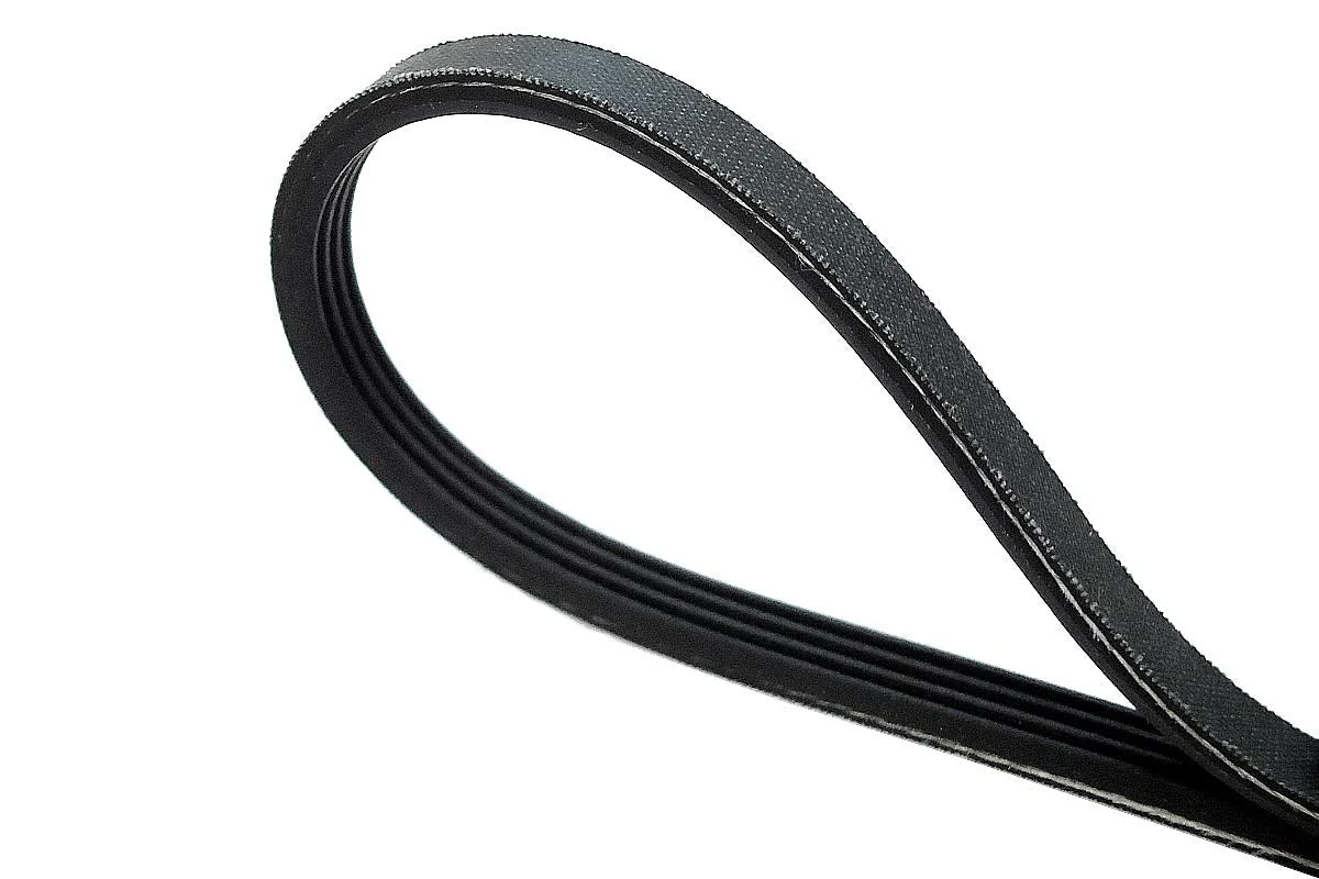 XP274 Dryer Drive Belt - Image 2